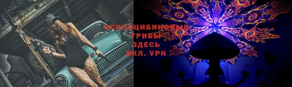 мдпв Богородицк